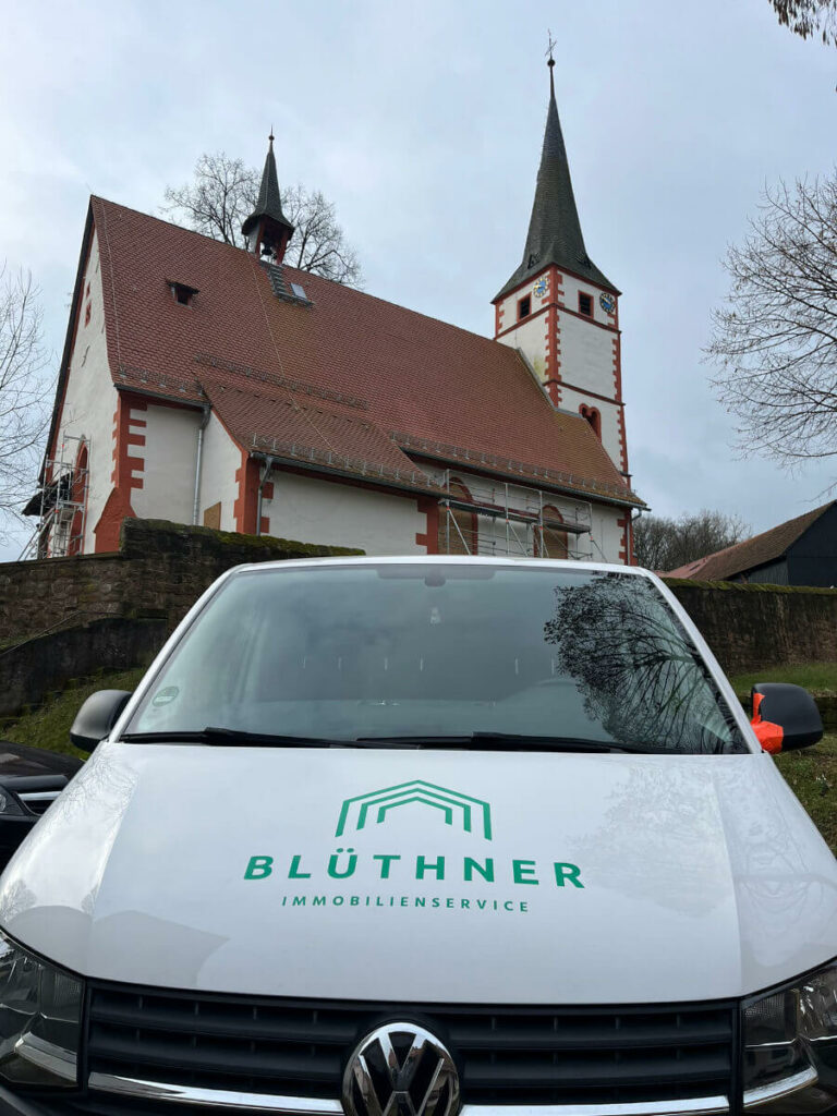 dachrinnen-reinigung-odenwald-bluethner